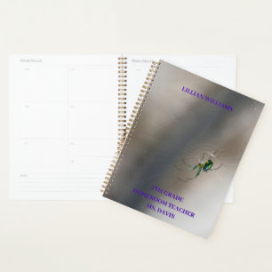 Coutume Green Orb Weaver Spider School Classe
