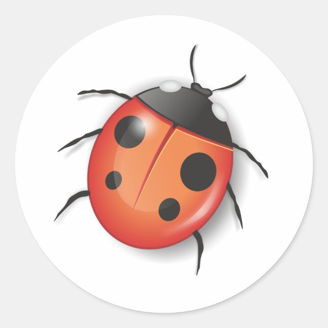 Couvercle d'enveloppe autocollant coccinelle (Devant)