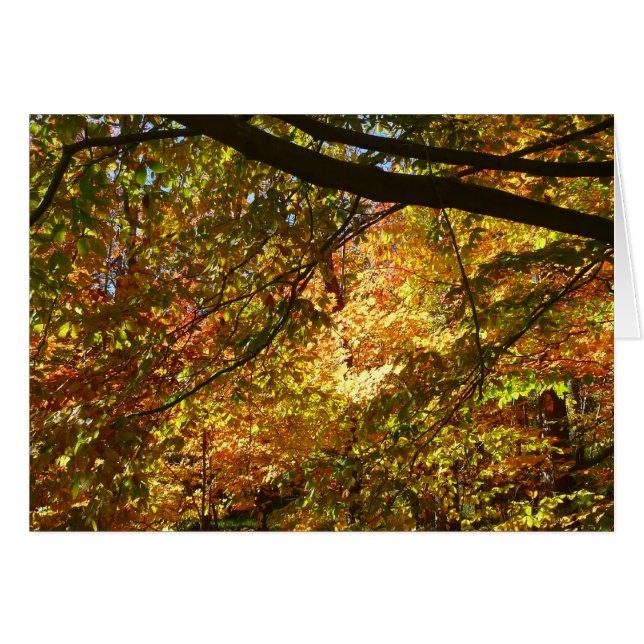 Couvert de feuilles d'automne I Nature jaune d'aut (Devant horizontal)