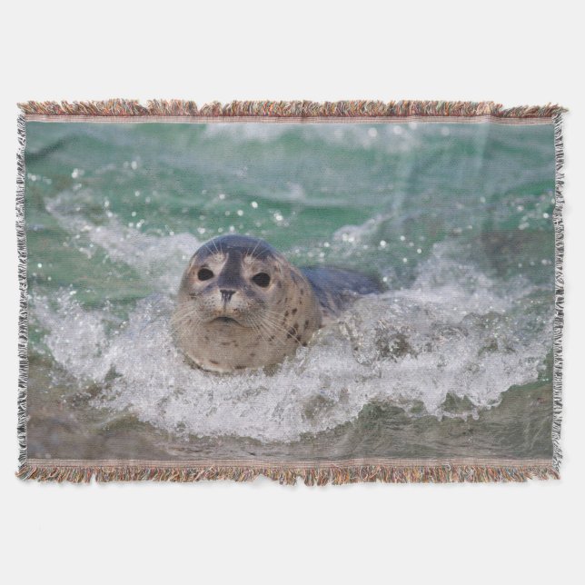 Couverture A baby seal surfing (Devant)