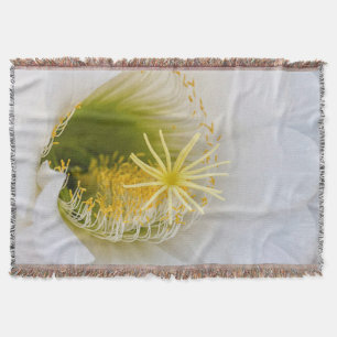 Couverture À l'intérieur d'un cactus blanc en fleurs
