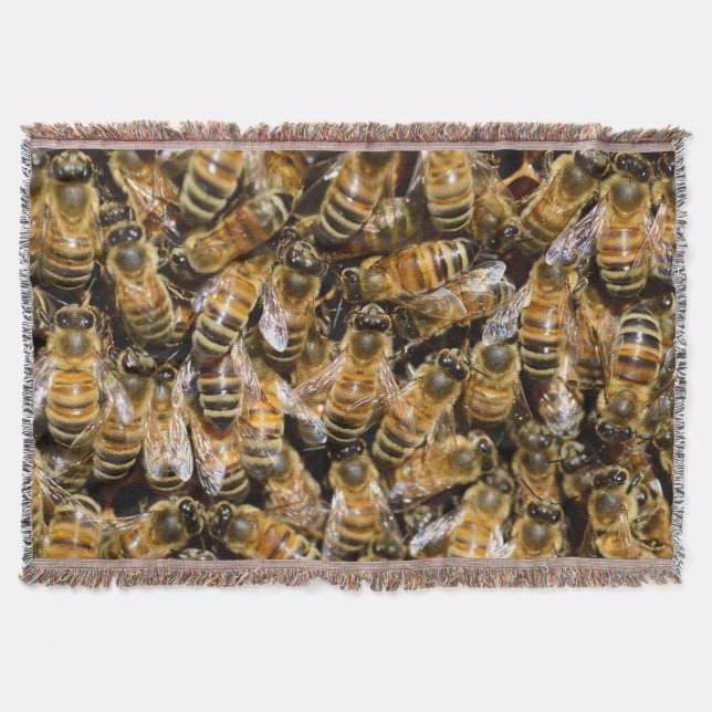 Couverture Abeilles (Devant)