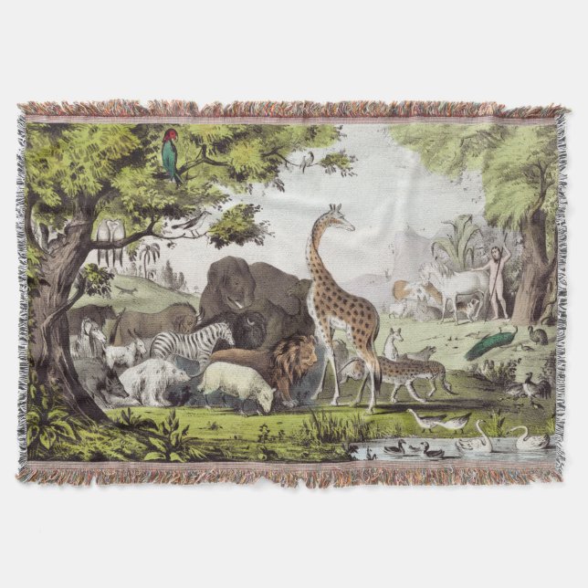 Couverture Adam nomme les créatures (Devant)