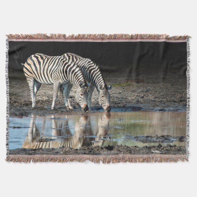 Couverture Afrique,Botswana, Delta de l'Okavango, Davison Cam (Devant)