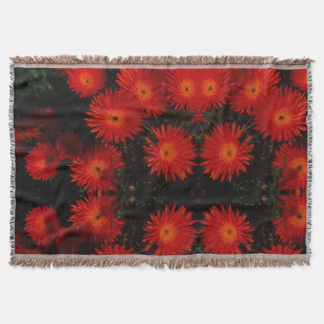 Couverture Afrique du Sud Vert Orange Fleurs Succulentes (Devant)