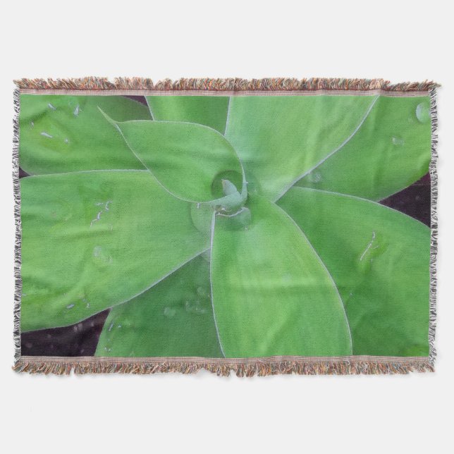 Couverture Agave et Raindrops (Devant)