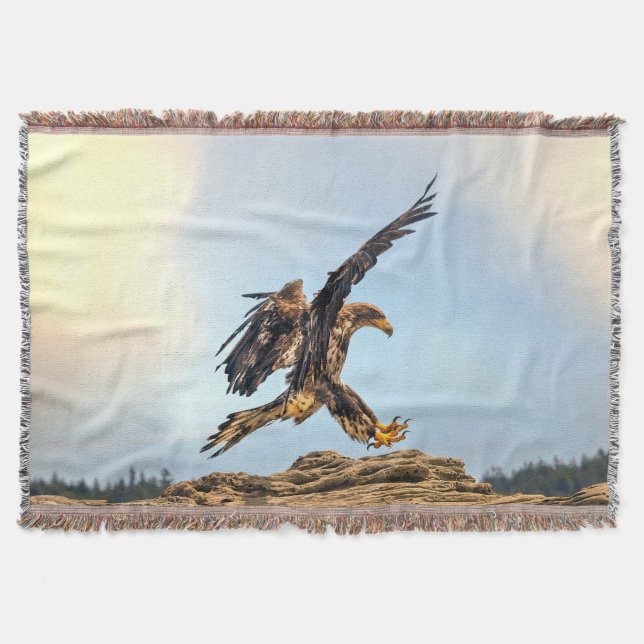 Couverture Aigle à tête blanche juvénile pratiquant ses compé (Devant)