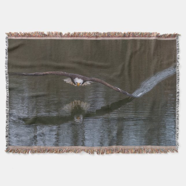Couverture Aigle de Bald en vol (Devant)