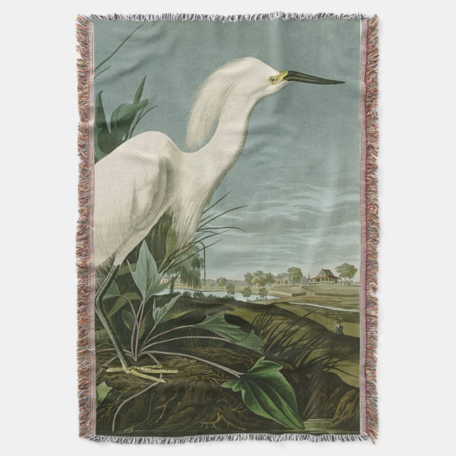 Couverture Aigrette neigeuse d'Audubon oiseau Héron blanc orn (devant Vertical)