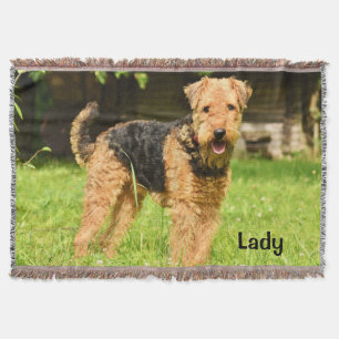 Couverture Airedale Terrier Chien chiot