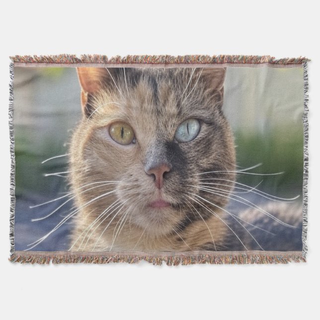 Couverture Ajouter une Personnaliser photo de chat (Devant)