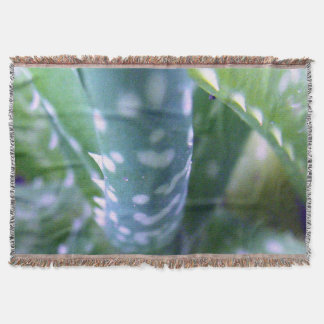 Couverture Aloe, Bug's View