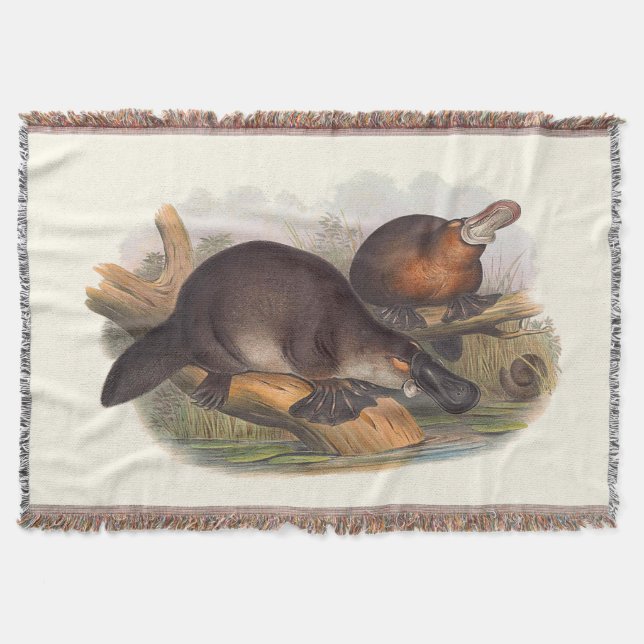 Couverture Animaux D'Australie Le Canard A Facturé Platypus R (Devant)
