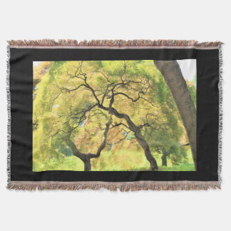 Couverture arbres dans le noir