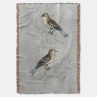 Argent | Deux oiseaux