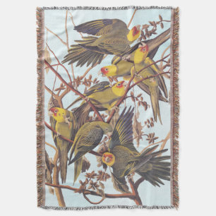 Couverture Audubon Carolina - Éclosion de perruques