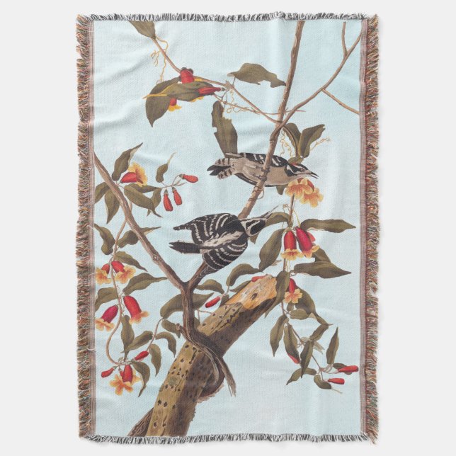 Couverture Audubon Downy Pic Couple aux fleurs (devant Vertical)