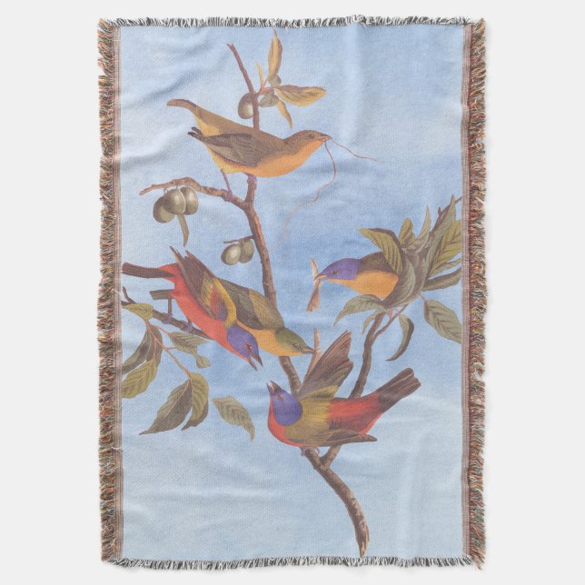 Couverture Audubon Painted Bunting Birds is Wild Plum Tree (devant Vertical)