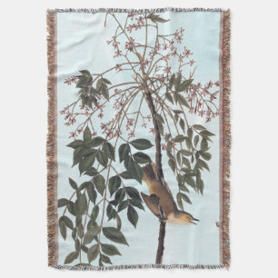 Couverture Audubon White Eyed Vireo Song Bird Art