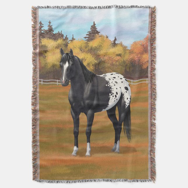Couverture Beau Appaloosa Noir Quarter Horse Stallion (devant Vertical)