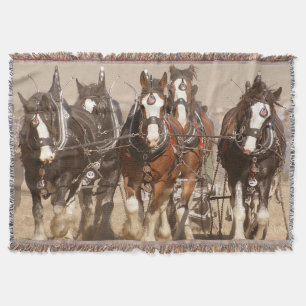 Couverture Beau Clydesdale Horses - Travail d'équipe