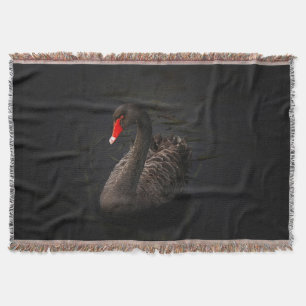 Couverture Beau cygne noir avec un bec rouge vif