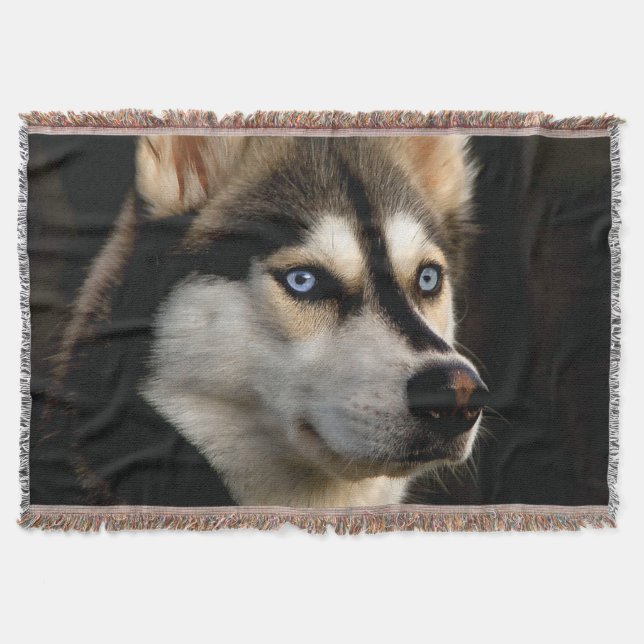 Couverture Beau Oreiller Husky Lrow (Devant)