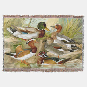 Couverture Beaux canards Vintages 1