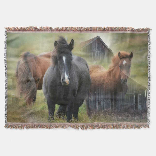 Couverture Beaux chevaux et grange rustique (Devant)