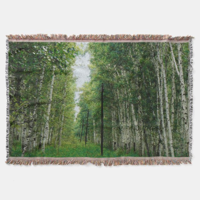 Couverture Belle forêt de bouleaux (Devant)