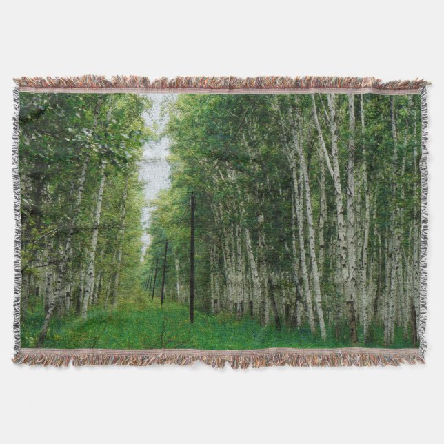 Couverture Belle forêt de bouleaux (Devant)