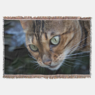 Couverture Bengale magnifique chat