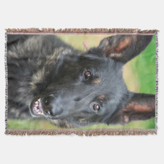 Couverture Berger allemand (Devant)