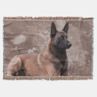 Couverture Berger belge de Malinois - Mechelaar