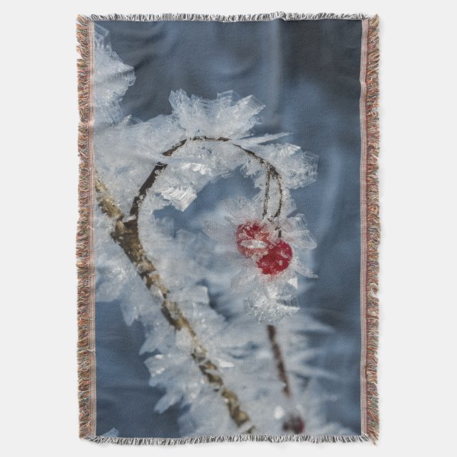 Couverture Berry (devant Vertical)