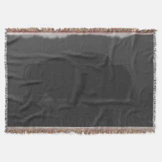 Couverture Bison de l'ombre