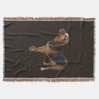 Couverture Bloodhound