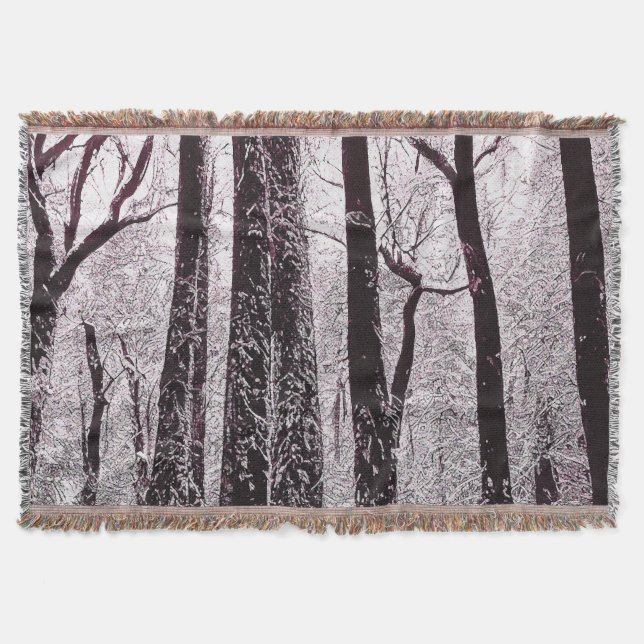 COUVERTURE BOIS FORESTIER NEIGE HIVER SCÉNARIO (Devant)