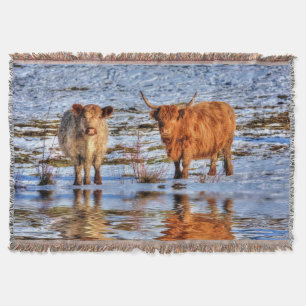 Couverture Bovins des Highlands en neige hivernale