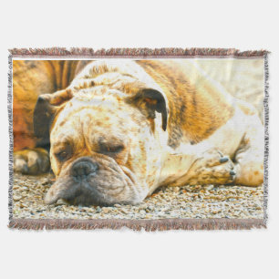 Couverture Boxe Chien Chien Chien Eau Couleur Huile Peinture 