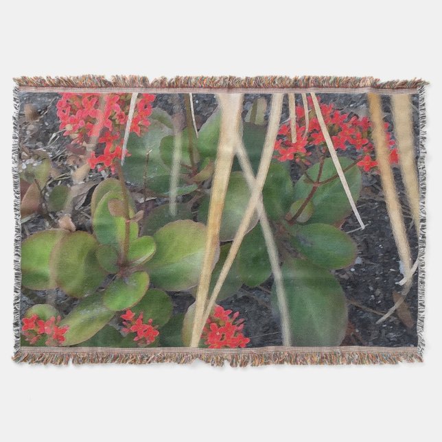 Couverture Brise de jardin (Devant)