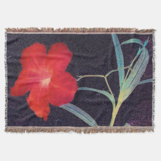 Couverture Brise rouge rustique