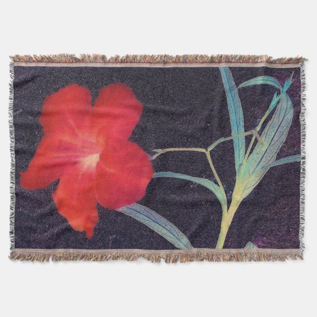 Couverture Brise rouge rustique (Devant)
