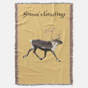 Couverture Bull Caribou