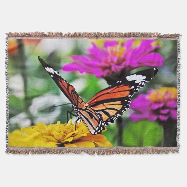 Couverture Butterfly on Flowers #2 (Devant)