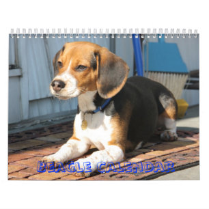 couverture, calendrier de beagle