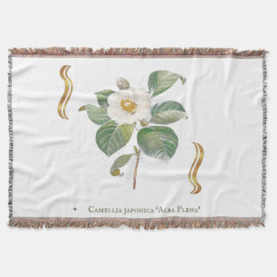 Couverture Camellia japonica 'Alba Plena' 