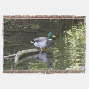 Couverture Canard de Mallard