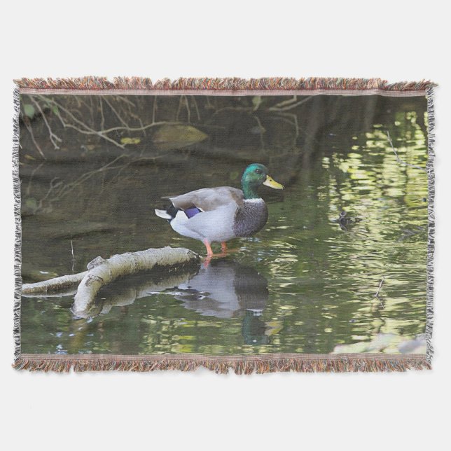 Couverture Canard de Mallard (Devant)