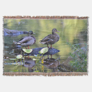 Couverture Canards de Mallard